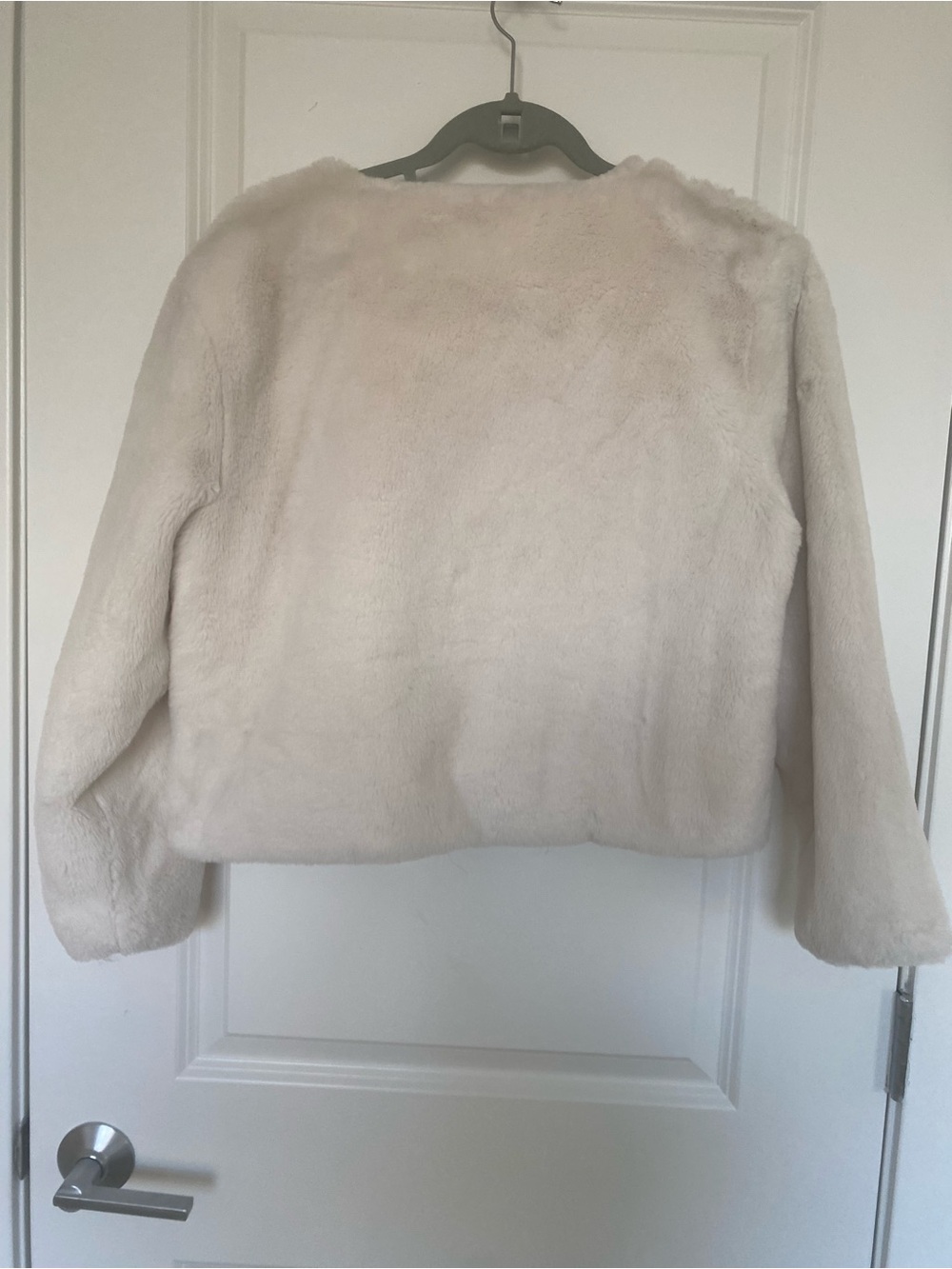Adrianna Papell Plush Faux Fur Jacket in Cream